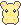 Yellow hamster