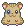 Jorges' Teddy Bear Hamster - T-Bone (m)